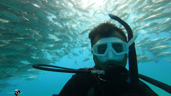 Dive Cabo Pulmo 3 Days - 6 tanks